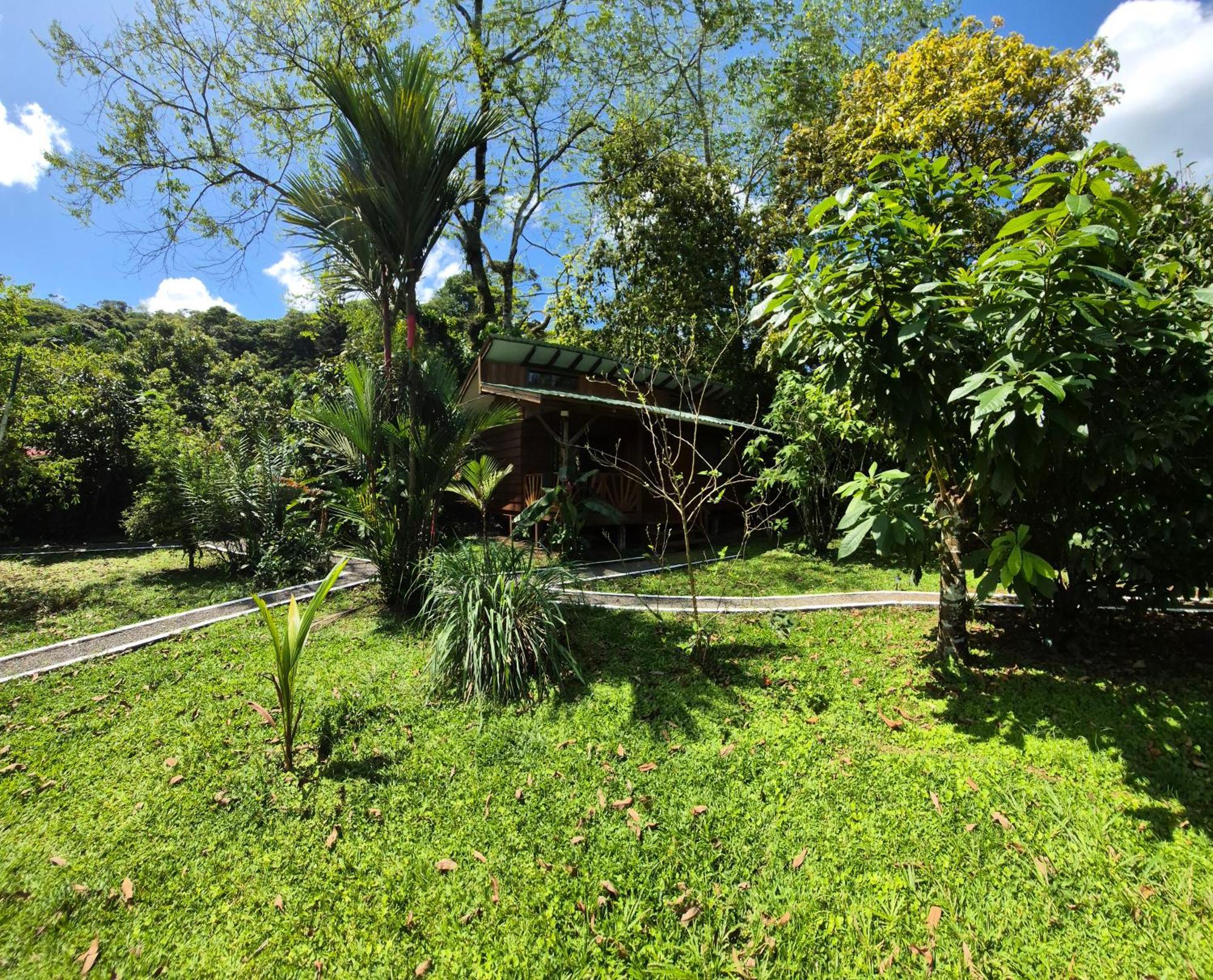 Bed and Breakfast Centro Ananda Guápiles Esterno foto