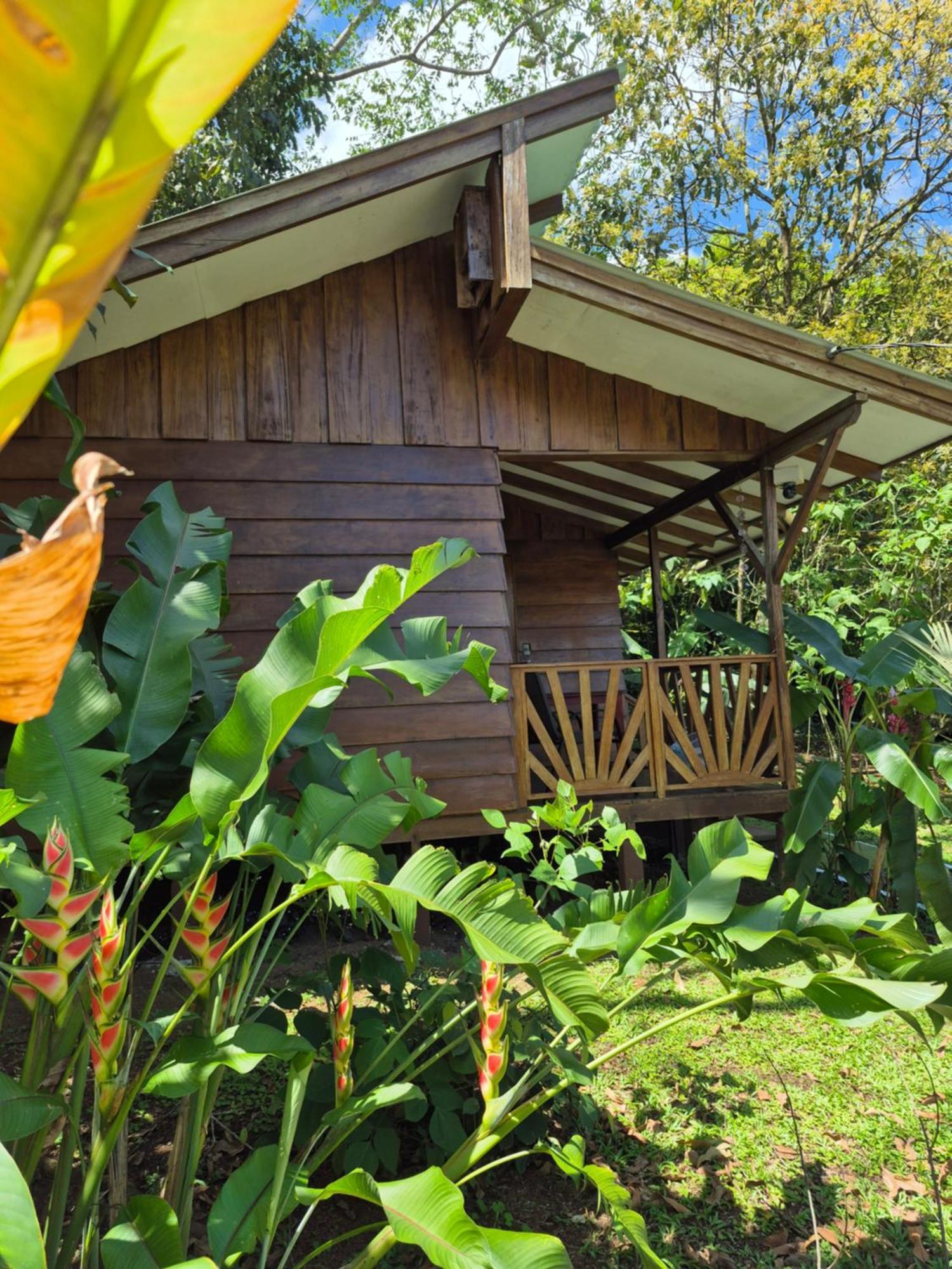 Bed and Breakfast Centro Ananda Guápiles Esterno foto
